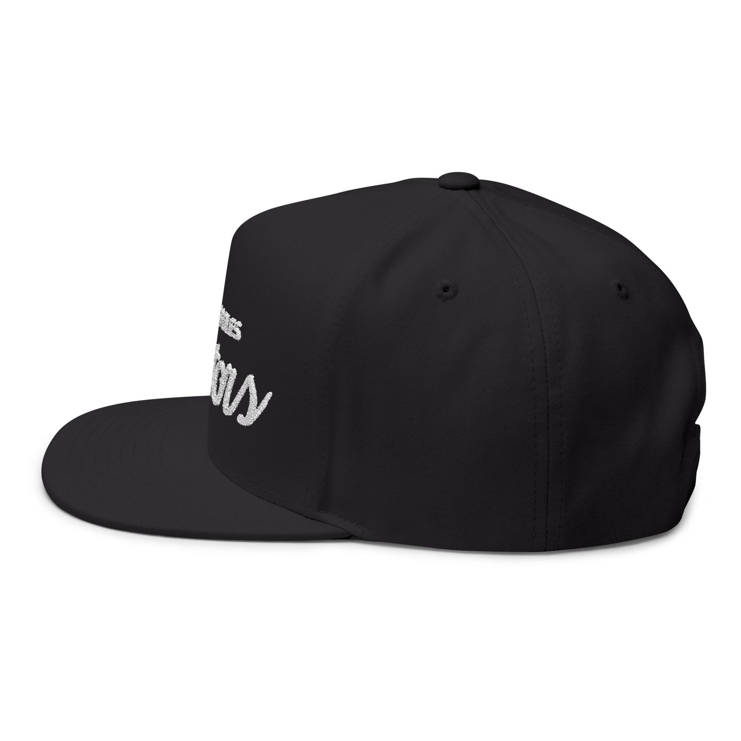 Embroidered Flat Bill Cap — Los Angeles Raptors Script Logo